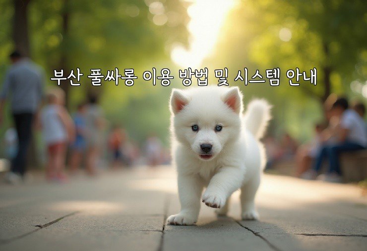 부산 풀싸롱 이용 방법 및 시스템 안내